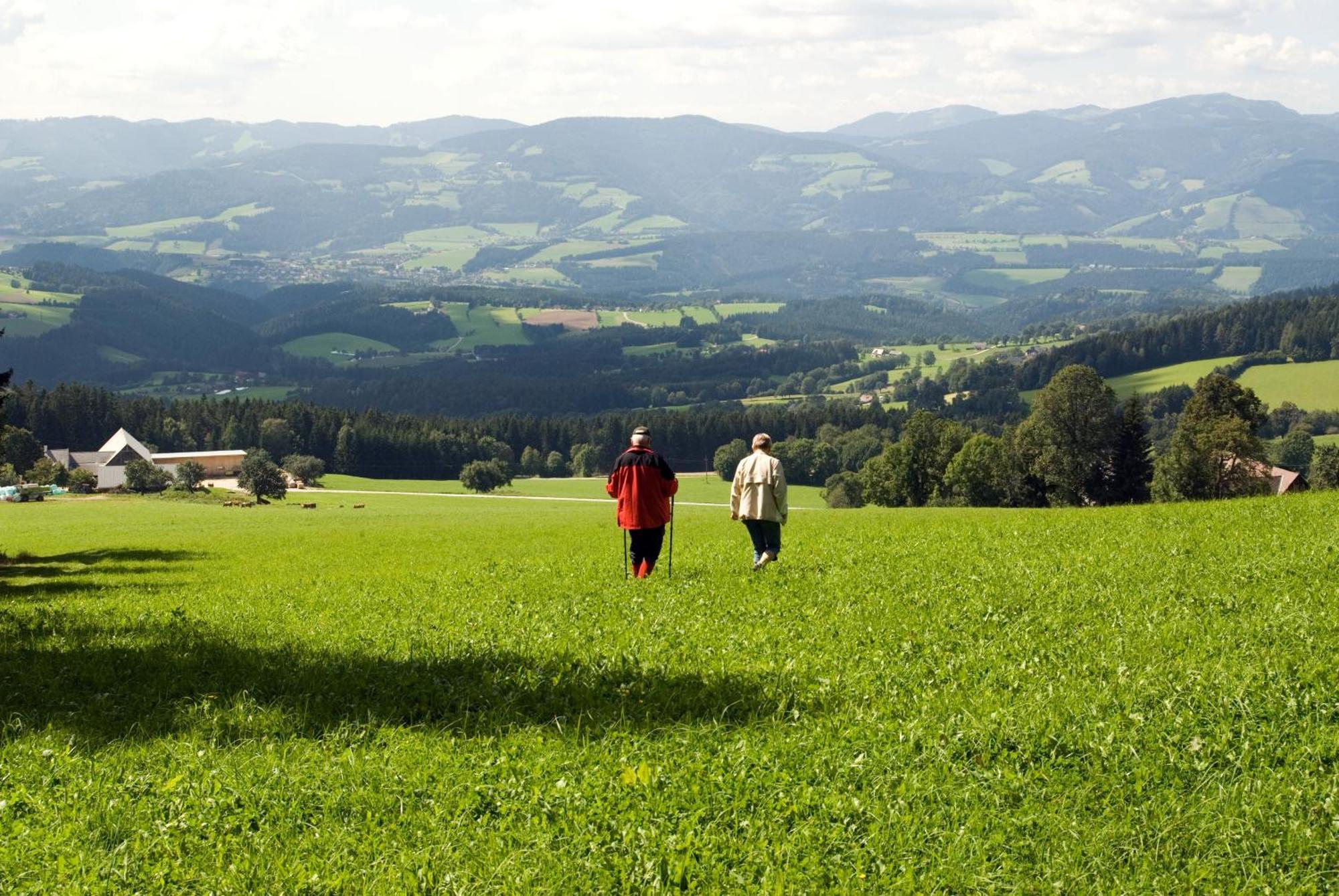 Wildwiesenhof Miesenbach  Exterior photo