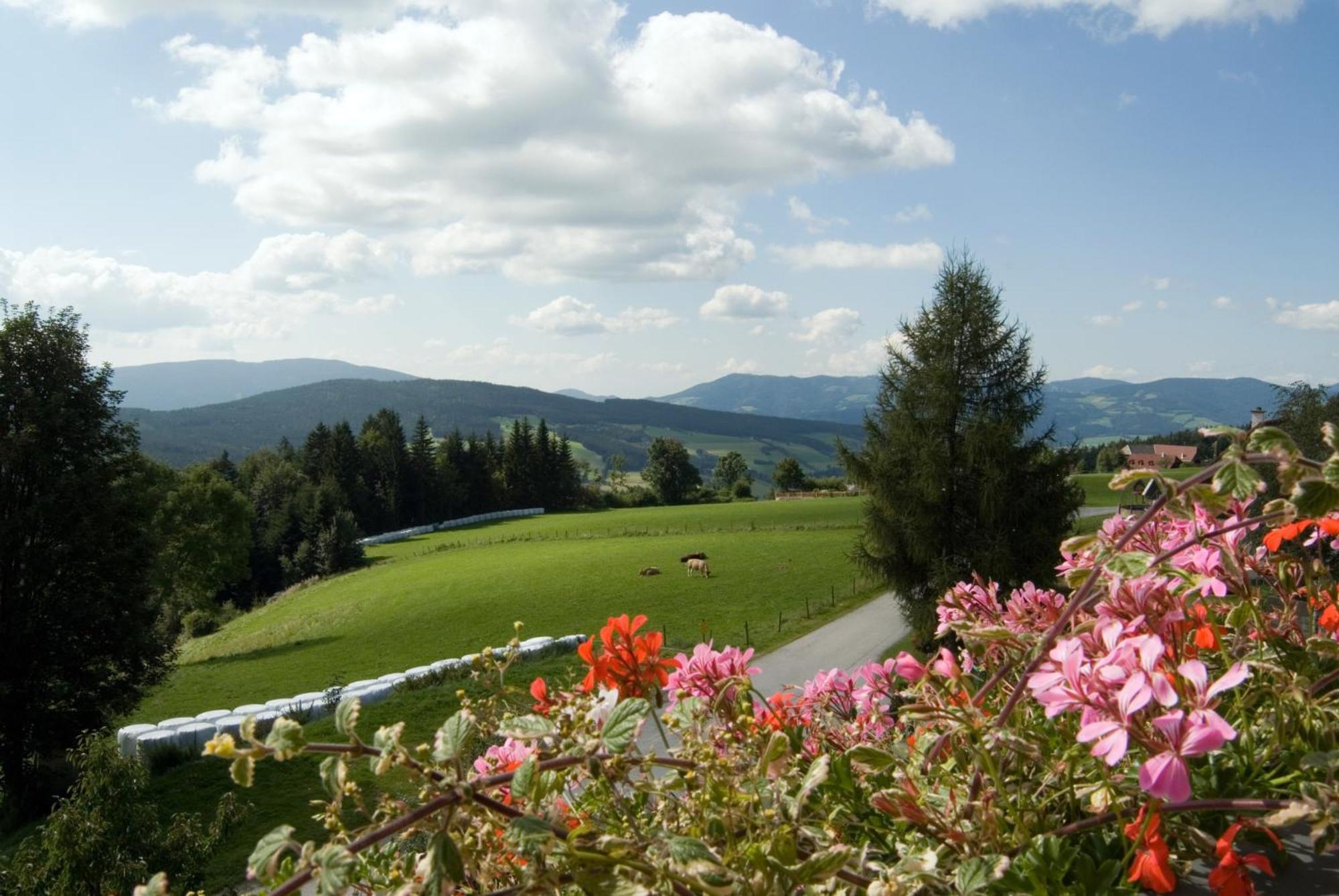 Wildwiesenhof Miesenbach  Exterior photo
