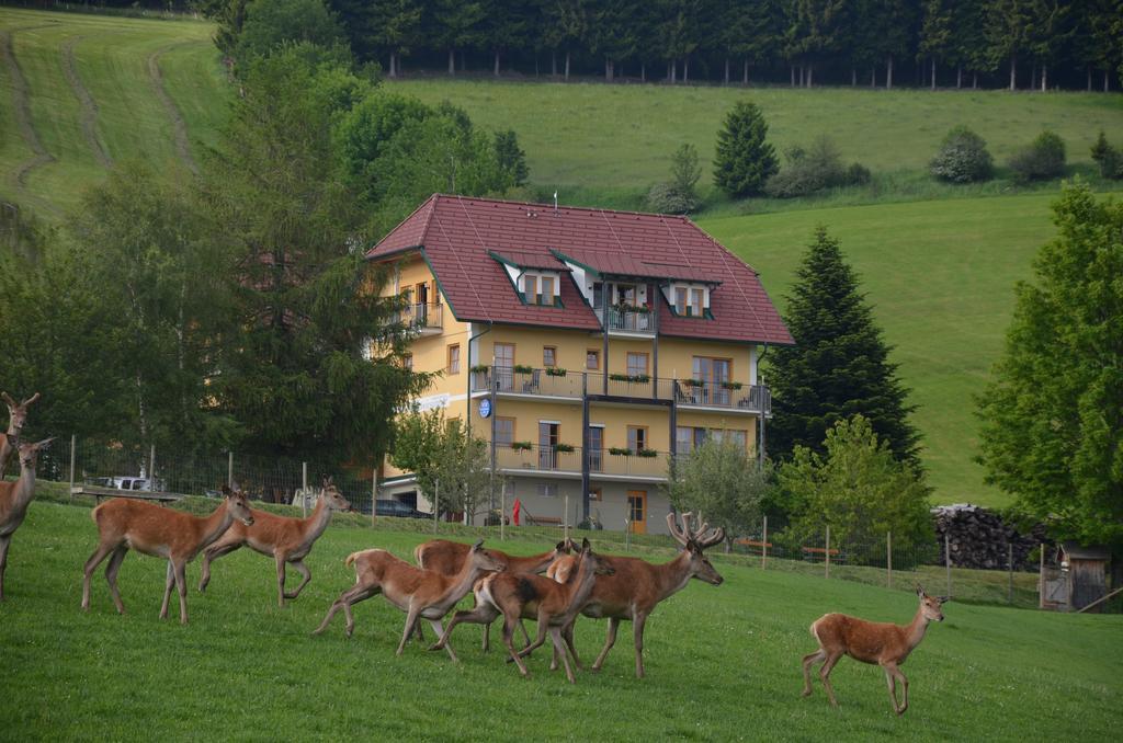 Wildwiesenhof Miesenbach  Exterior photo