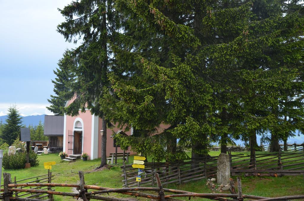 Wildwiesenhof Miesenbach  Exterior photo