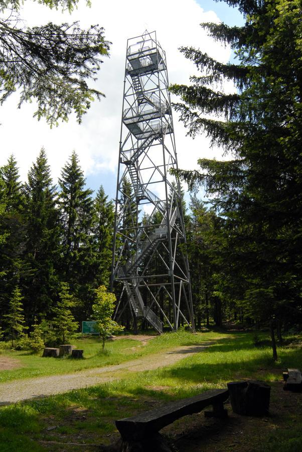 Wildwiesenhof Miesenbach  Exterior photo